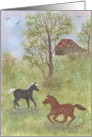 Horses on the Farm, note card