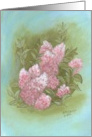 Pink Crepe myrtal, still life, note card