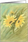 Yellow Sunflowers, note card