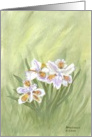 Lavender and White Iris, note card