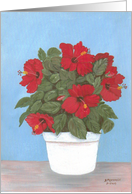 Red Hibiscus in White Pot card
