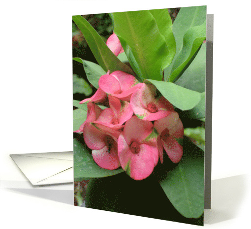 Pink Flower Bunch card (644055)