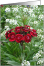 Red And Maroon Flower Bunch card