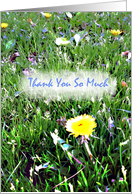 Thank You So Much card