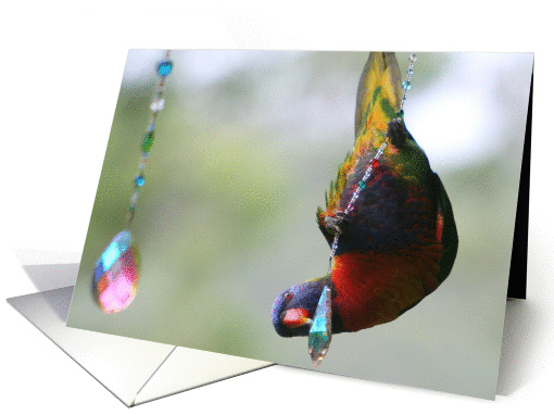 Hanging Around Rainbow Birthday Bird card (631711)