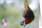 Hanging Around Rainbow Birthday Bird card