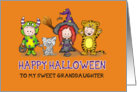 Happy Halloween Granddaughter - Cute Kids all dressed up in costumes card