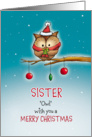 Sister - Owl wish you Merry Christmas card