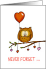 Owl - Never forget how much owl love you! Valentine for someone you love card