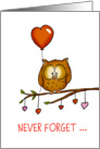 Never forget how special you are to me - Valentine’s Day Card with owl. card