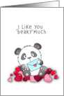 Happy Valentine’s Panda Bear I Like You Beary Much card