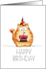 Funny Happy Birthday Cat with Birthday Cake card