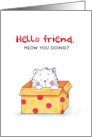 Hello Friend Meow you Doing? Cute Cat in Box card
