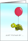 Just Flying by to Say Hi Turtle. card