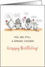 You are still a Spring Chicken Birthday Card