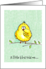 A little yellow bird/Pregnacy card