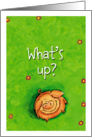 What’s up? Cute whimsical pig is looking up to ask what’s up. card