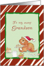 To my sweet Grandson card
