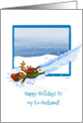 Happy Holidays to my Ex-Husband! card