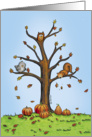 Happy Thanksgiving - Humorous Design with Pumpkins, Acorns - Fall card