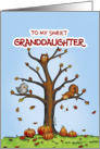 Happy Canada Thanksgiving - Sweet Granddaughter card