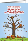 Happy Thanksgiving - Wonderful Grandson card