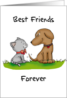 Best Friends Forever...