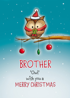 Brother - Owl wish...
