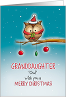 Granddaughter - Owl wish you Merry Christmas card