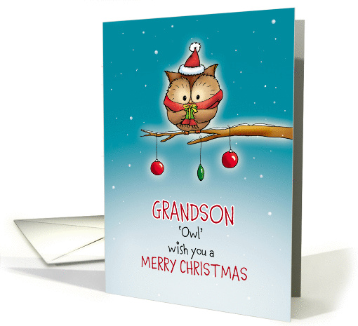 Grandson - Owl wish you Merry Christmas card (1343504)