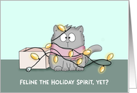 Feline The Holiday...