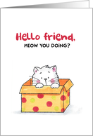 Hello Friend Meow you Doing? Cute Cat in Box card