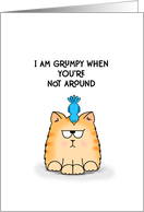 Humorous Miss you Card Grumpy Cat and Bird card