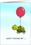 Just Flying by to Say Happy Birthday Turtle card