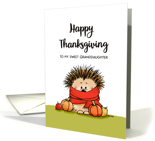 Happy Thanksgiving to my sweet Granddaughter Hedgehog... (1868838)
