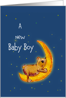 Congratulations New Baby Boy Bear sleeping on moon card