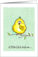 A little bird/Birthday card