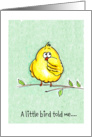 A little bird/Birthday card