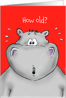 How old? Little Brother, Surprised Hippo card