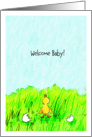 Welcome Baby Girl! card