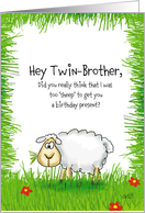Hey Twin-Brother,..to sheep for a birthday present? card