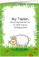 Funny Teacher Birthday Card, too cheap sheep. card