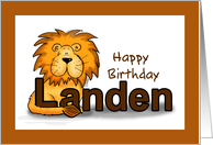 Happy Birthday Landen! card
