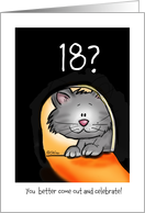 Happy Birthday 18,cute Cat, Mousehole. card