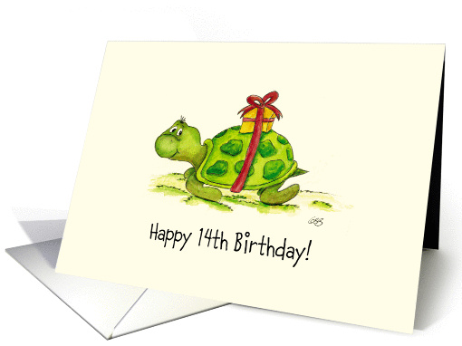 Happy Birthday Turtle with Present card (853184)