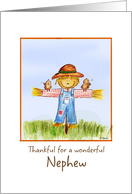Thankful for a wonderful Nephew - Thanksgiving card
