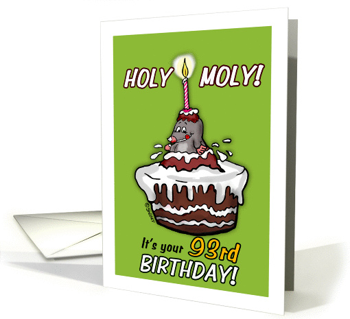 Humorous - It's your 93rd Birthday -Holy Moly Cartoon -... (931842)