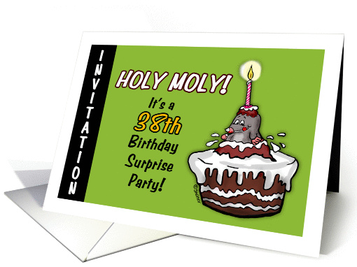 Humorous - 38th Birthday Invitation -Surprise Party -... (932172)