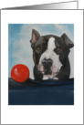 Pit Bull With Ball card