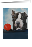 Pit Bull With Ball card